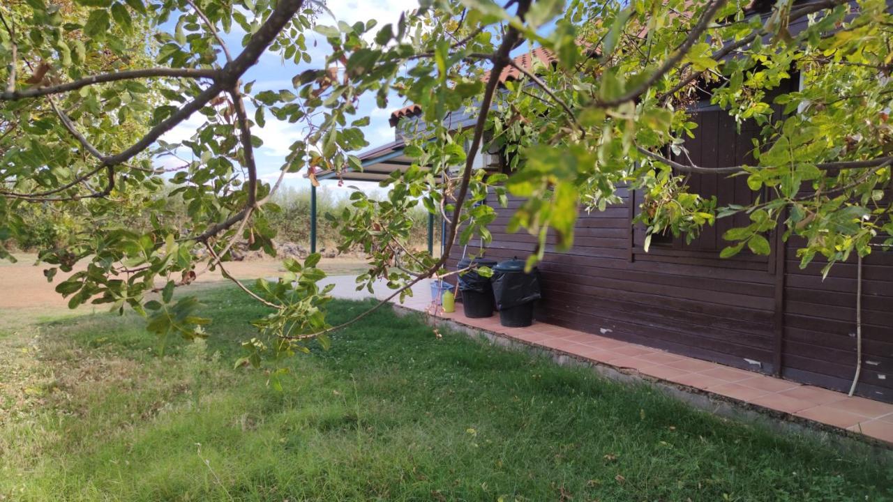 Casas Rurales Tabla Honda El Robledo (Ciudad Real) Exterior foto