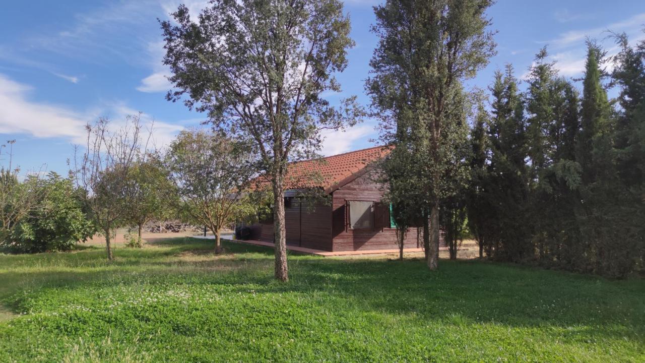 Casas Rurales Tabla Honda El Robledo (Ciudad Real) Exterior foto